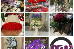 گل فروشی ویکتوریا - mashhadwomen