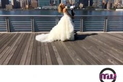 مدل لباس عروس 11 - mashhadwomen