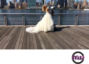 مدل لباس عروس 11 - mashhadwomen